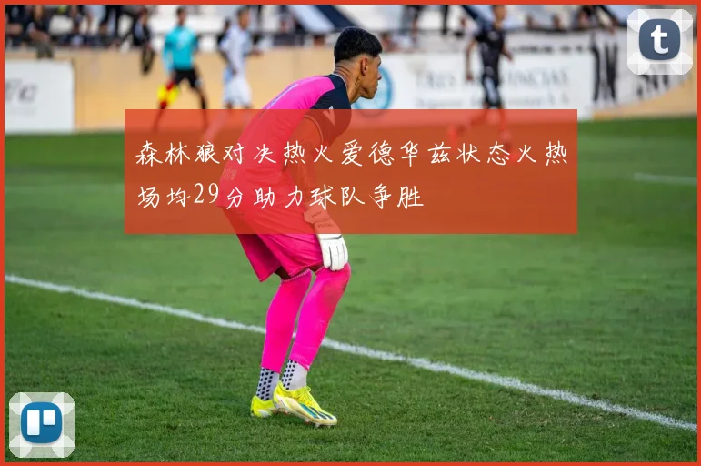 森林狼对决热火爱德华兹状态火热场均29分助力球队争胜